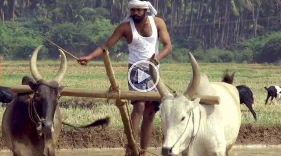 Best Wedding photographers in tirunelveli, Best Candid photographers in tirunelveli, Best wedding candid photographers in tirunelveli, Best Photographers in tirunelveli,Best Marraige photographers in tirunelveli,Best wedding photography in tirunelveli, Best wedding candid photography in tirunelveli, Best Marraige photography in tirunelveli,Best Photography in tirunelveli, Best wedding video in tirunelveli, Best wedding videography in tirunelveli, Best Helicam operator in tirunelveli, Best Drone Operator in tirunelveli, Best wedding studio in tirunelveli, Best proffesional photographers in tirunelveli, No.1 Wedding Photographers in tirunelveli, No.1 wedding photography in tirunelveli, tirunelveli wedding photographers, tirunelveli wedding photography, tirunelveli wedding Videos in tirunelveli,Best Wedding photographers in Madurai, Best Candid photographers in Madurai, Best wedding candid photographers in Madurai, Best Photographers in Madurai,Best Marraige photographers in Madurai,Best wedding photography in Madurai, Best wedding candid photography in Madurai, Best Marraige photography in Madurai,Best Photography in Madurai, Best wedding video in Madurai, Best wedding videography in Madurai, Best Helicam operator in Madurai, Best Drone Operator in Madurai, Best wedding studio in Madurai, Best proffesional photographers in Madurai, No.1 Wedding Photographers in Madurai, No.1 wedding photography in Madurai, Madurai wedding photographers, Madurai wedding photography, Madurai wedding Videos in Madurai,Best Wedding photographers in TamilNadu, Best Candid photographers in TamilNadu, Best wedding candid photographers in TamilNadu, Best Photographers in TamilNadu,Best Marraige photographers in TamilNadu,Best wedding photography in TamilNadu, Best wedding candid photography in TamilNadu, Best Marraige photography in TamilNadu,Best Photography in TamilNadu, Best wedding video in TamilNadu, Best wedding videography in TamilNadu, Best Helicam operator in TamilNadu, Best Drone Operator in TamilNadu, Best wedding studio in TamilNadu, Best proffesional photographers in TamilNadu, No.1 Wedding Photographers in TamilNadu, No.1 wedding photography in TamilNadu, TamilNadu wedding photographers, TamilNadu wedding photography, TamilNadu wedding Videos in TamilNadu.